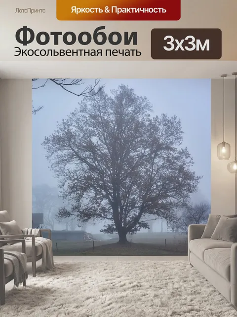 Фотообои Туман