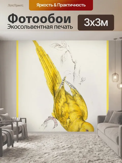 Фотообои Роза кольчатая Parrakeet - Эдвард Лир