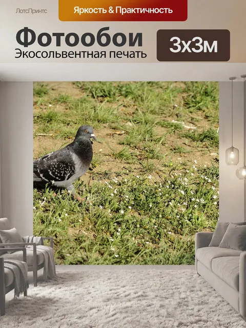 Фотообои Птицы