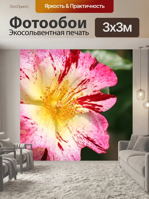 Фотообои Цветок