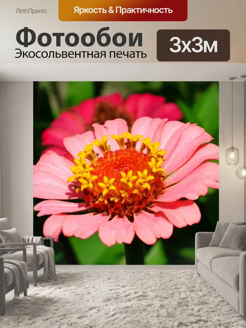 Фотообои Цветы