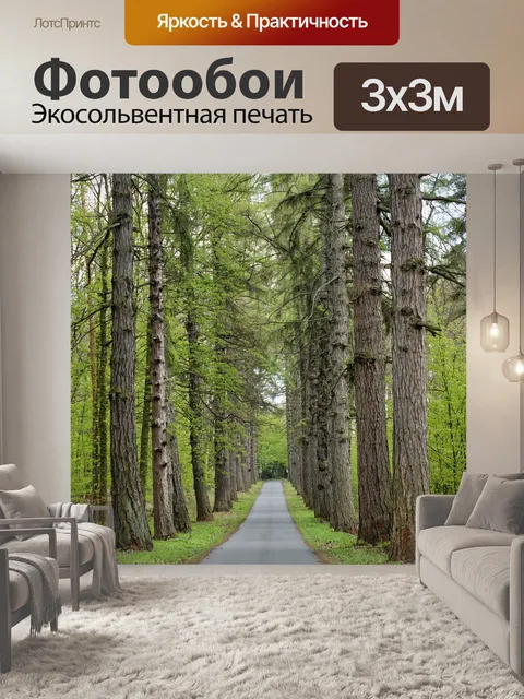 Фотообои Дорога