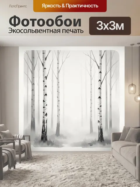 Фотообои Туманный берёзовый лес