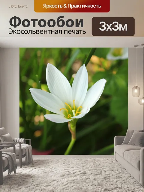 Фотообои один белый цветок