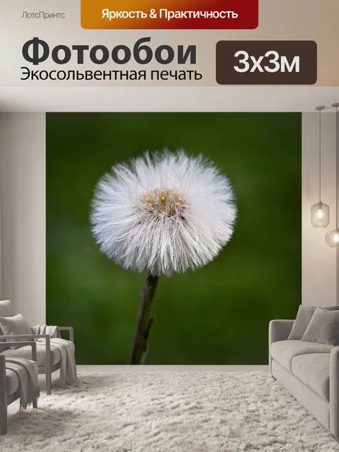 Фотообои Одуванчик