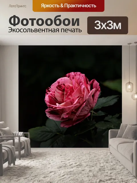 Фотообои Розы