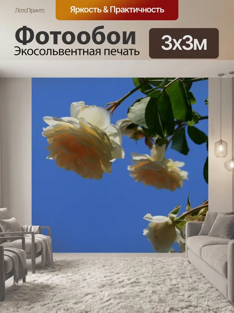 Фотообои Роза