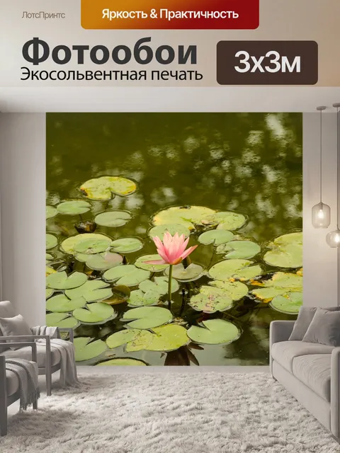 Фотообои Роза