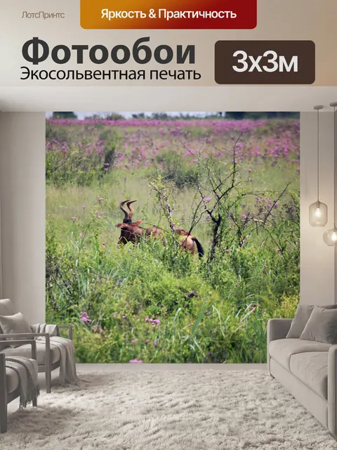Фотообои красный hartebeest исчезает в кустах