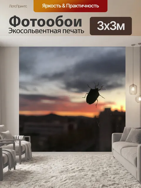 Фотообои Насекомое