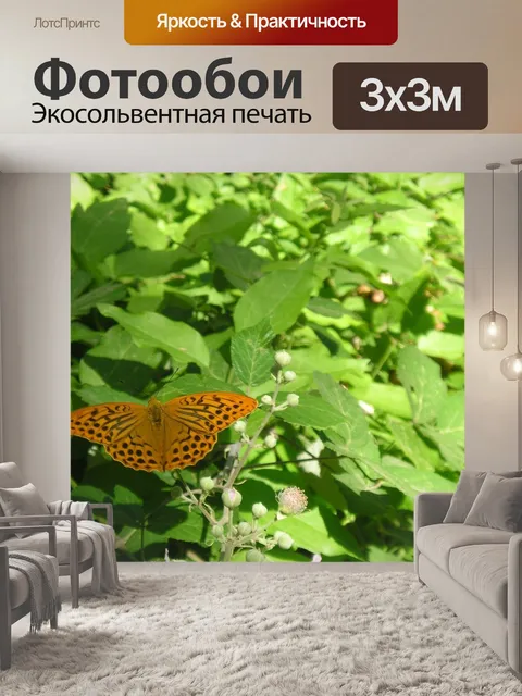 Фотообои Бабочки