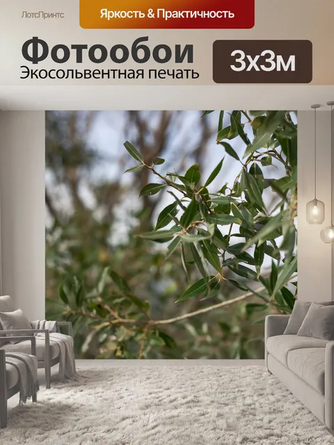 Фотообои Зеленый