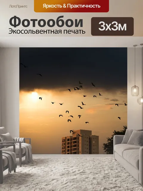 Фотообои Летающие птицы