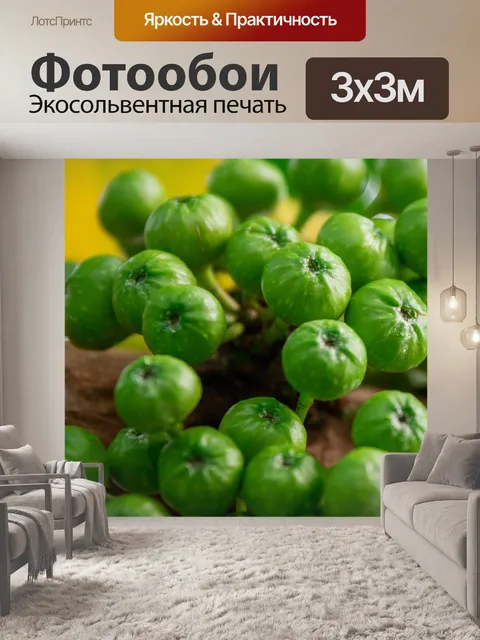 Фотообои Выращивание инжира