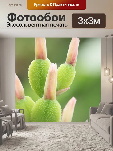 Фотообои Цветы