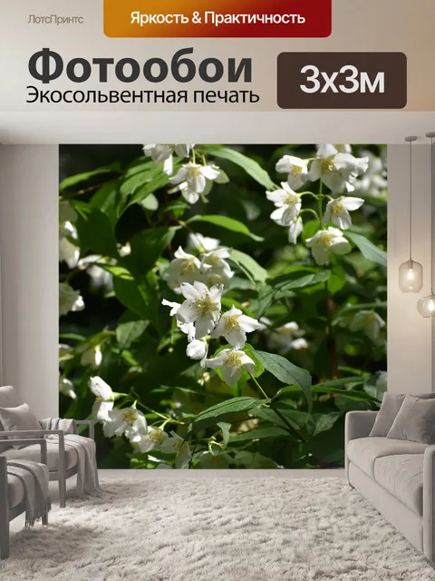 Фотообои Цветы