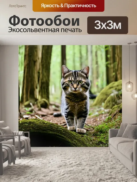 Фотообои коты, исследующие дремучий лес в поисках приключений