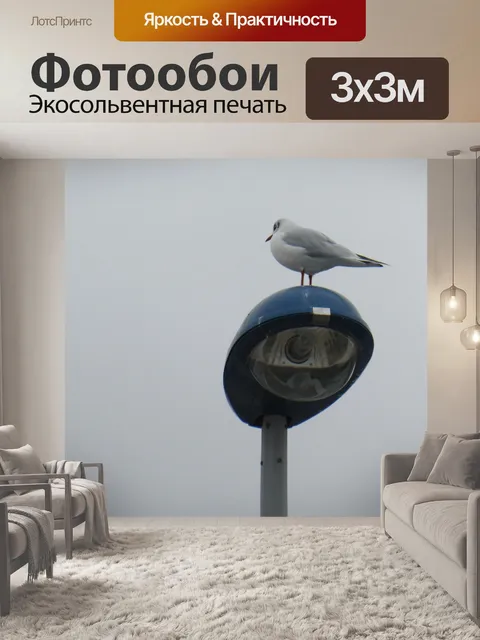 Фотообои Чайка на фонарном столбе