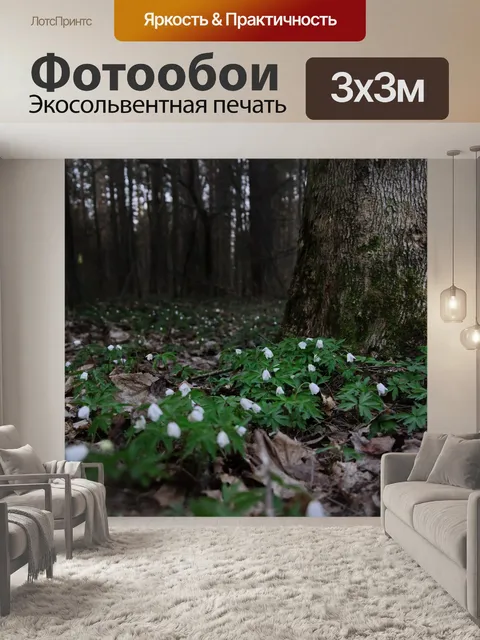 Фотообои Лес