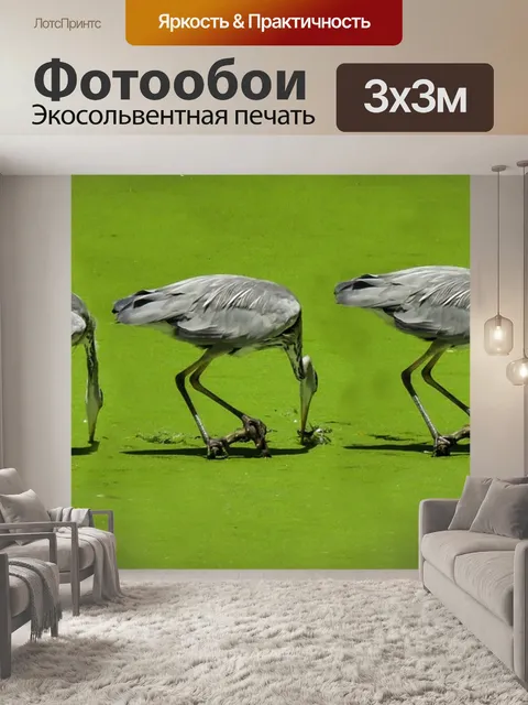 Фотообои Природа
