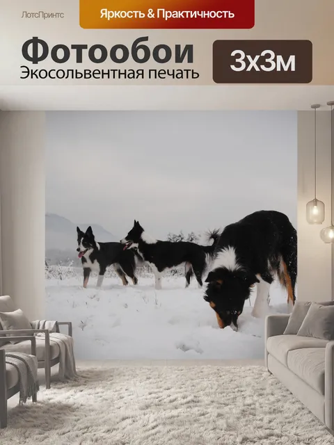 Фотообои Собаки