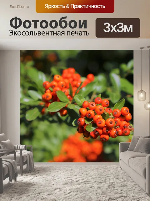Фотообои Осень