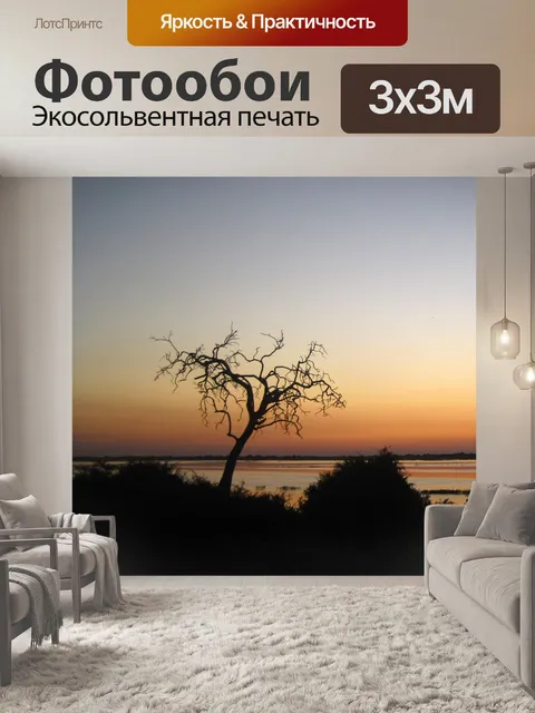Фотообои силуэт сухого дерева и закат
