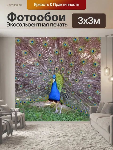 Фотообои Птица