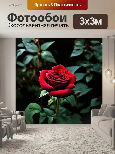 Фотообои **красная роза в темном саду**