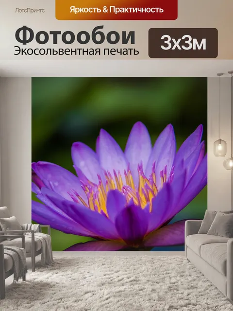 Фотообои Цвет