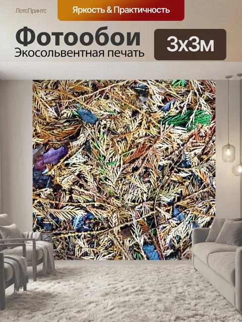 Фотообои Осенняя осень Флора фон