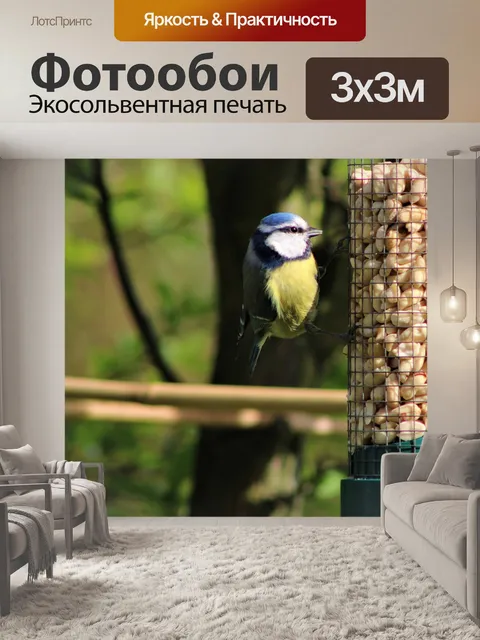 Фотообои Птица