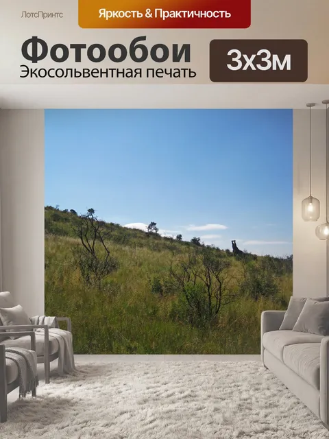Фотообои вдалеке видны два жирафа