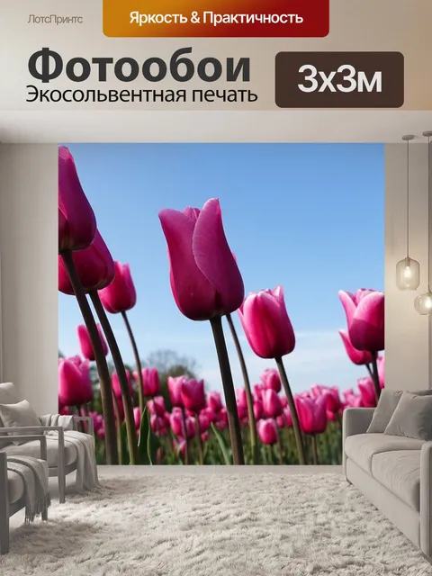 Фотообои Тюльпаны