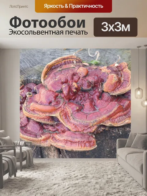 Фотообои Еда