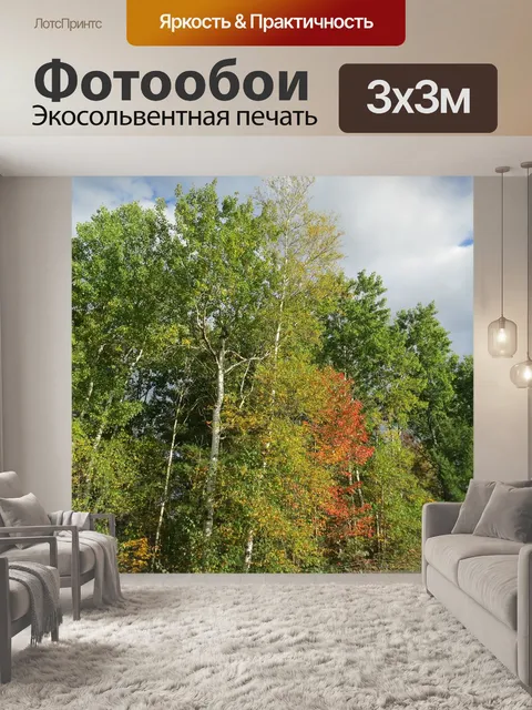 Фотообои Деревья