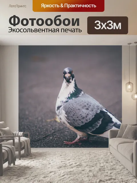 Фотообои Улица
