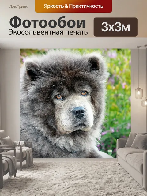 Фотообои Собаки