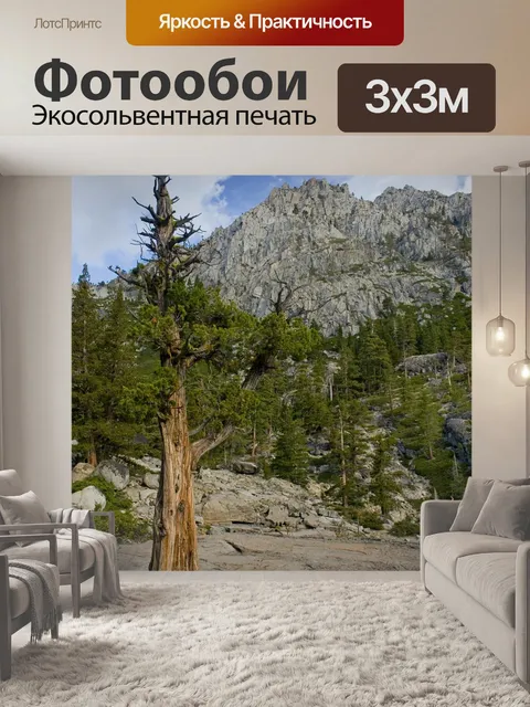 Фотообои Озеро тахо