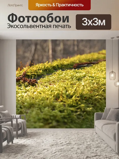 Фотообои Мох