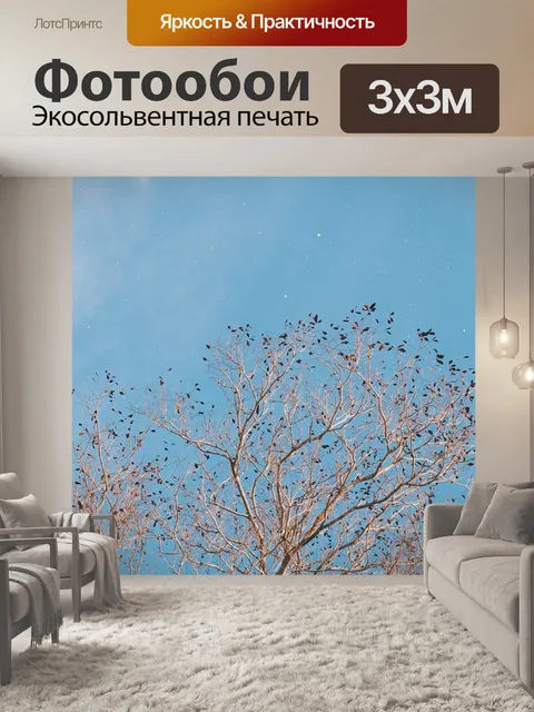 Фотообои Небо