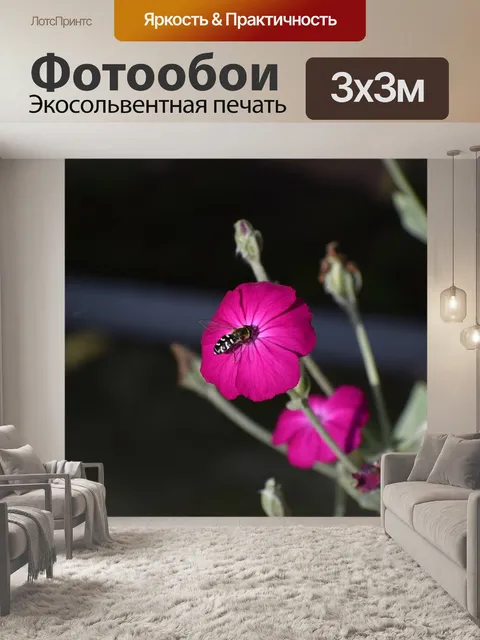 Фотообои Цветы