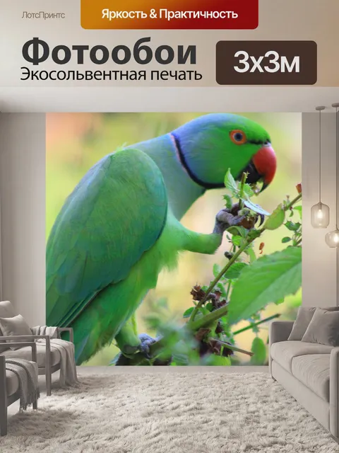 Фотообои Птица