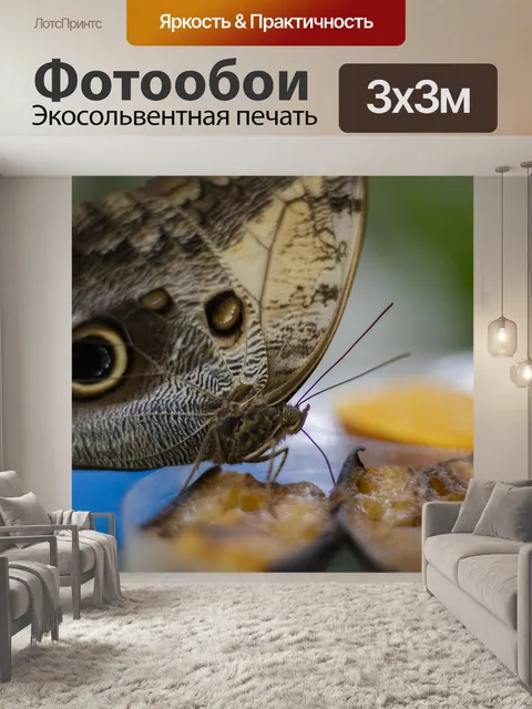 Фотообои Бабочка