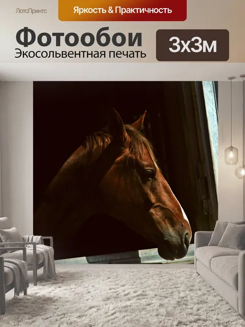 Фотообои Лошадь