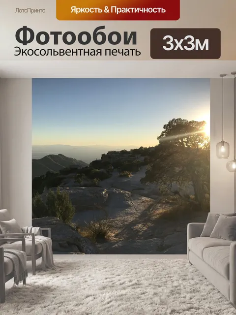 Фотообои Лес