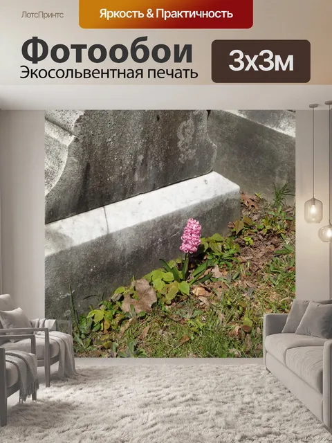 Фотообои Розовый цветок и Надгробная плита