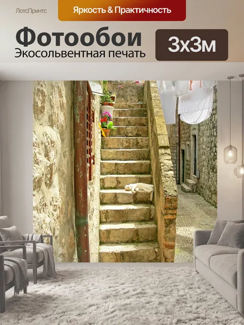 Фотообои Кошка