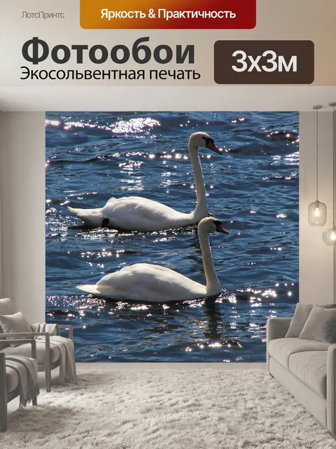Фотообои Лебеди