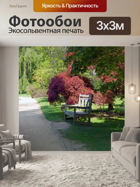 Фотообои Sunlit скамьи сада